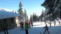 Зимний семейный праздник собирает софийцев на горе Витоша