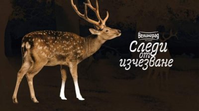 В Варне открыта выставка, посвященная исчезающим животным Болгарии