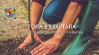 Столичный муниципалитет помогает волонтерам посадить 835 деревьев
