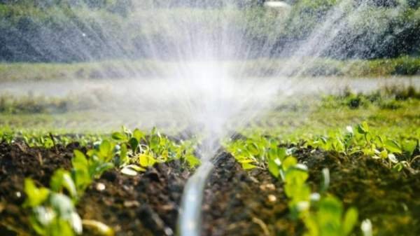 Государство будет дотировать 80% затрат на воду для полива