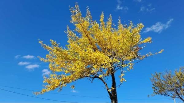 Ноябрь начинается с теплой осенней погодой