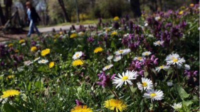 Солнечная весенняя погода с кратковременными осадками