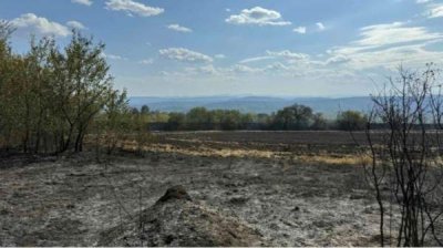 После пожаров и засухи возможны наводнения – какова превенция?