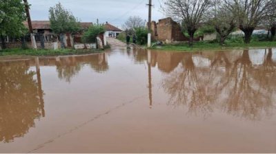 Ливневые дожди в очередной раз залили Северо-Западную Болгарию