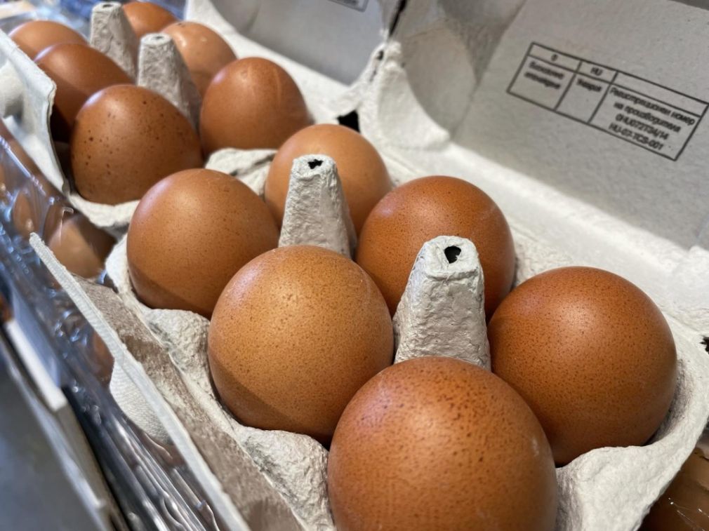 Птицеводы: Яйца из Румынии и Украины продаются как болгарские