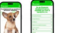 В Болгарии заработала онлайн-платформа с объявлениями о потерянных и найденных домашних животных