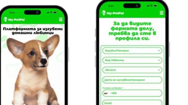 В Болгарии заработала онлайн-платформа с объявлениями о потерянных и найденных домашних животных