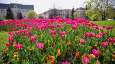 Солнечный понедельник с температурой до 27 градусов