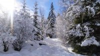 Прогулка по снежным тропам горы Витоша у Софии