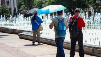 Кроме побережья - желтый уровень погодной опасности из-за интенсивных осадков