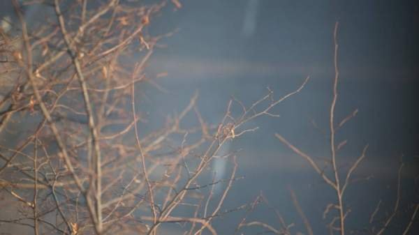 Прогноз погоды на 5 ноября