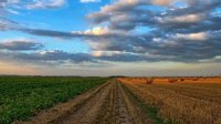 Болгарские фермеры требуют, чтобы единая сельхозполитика ЕС учитывала региональные различия