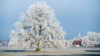 Наступает астрономическая зима