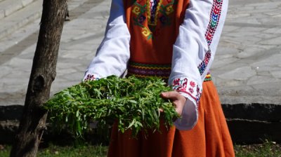 Лазарев день &ndash; праздник, который и в самые трудные времена заряжает нас эмоциями и настроением