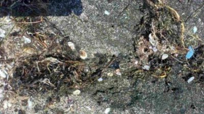 Новое, еще большее загрязнение пляжа в Поморие