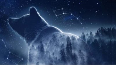 &laquo;Час Земли&raquo; подает лапу болгарским медведям