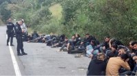 Нелегальные мигранты платят 2500 евро за транзит от турецкой до сербской границы