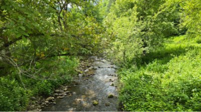 Прогноз погоды на 30 мая