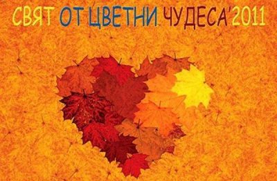 Благотворительная инициатива Движения болгарских матерей &bdquo;Мир пестрых чудес 2011&rdquo;