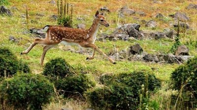 Фотовыставка &bdquo;Дикая природа&rdquo; показывает в крупном плане животный мир