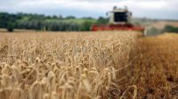 ЕК одобрила помощь в размере 218 млн евро на поддержку сельхозпроизводителям