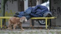 Бездомные в Софии и их профиль в центре внимания европейского исследования