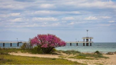 Прогноз погоды на 19 апреля