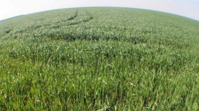 Европейские субсидии в сельское хозяйство все больше будут становиться &bdquo;зелеными&rdquo;