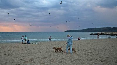 В предпраздничные дни солнце придет на смену холодному утру