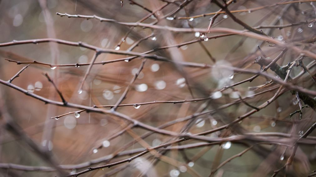 Прогноз погоды на 24 февраля 2026