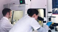 Новые научные открытия представил Институт микробиологии при БАН