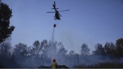 Болгария выразила готовность отправить помощь в Израиль в связи с пожарами
