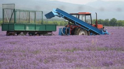 90% овощей и фруктов на рынке Болгарии &ndash; импортные, а сельское хозяйство в упадке