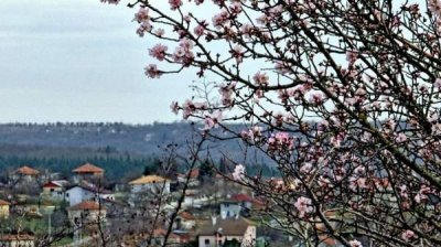 Облачная погода, на многих местах с дождем