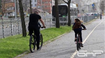 В петиции объединение "За Землю" настаивает на создании безопасных велосипедных полос
