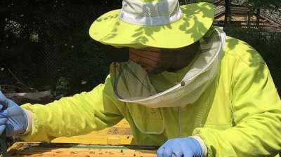 Кампания &laquo;Усынови улей&raquo; &minus; помогаешь пчелам и наслаждаешься болгарским медом