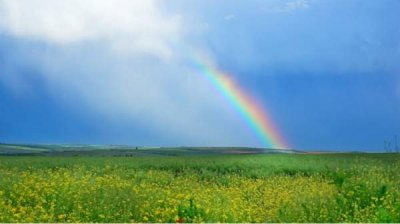 &laquo;Вера, надежда, любовь&raquo;