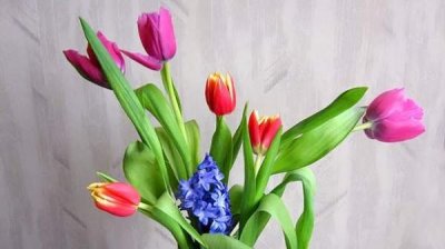 8 марта &ndash; день сотрудницы или заслуженный повод для внимания к женщине и матери