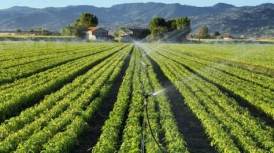 EК одобрила государственную помощь для полива сельхозкультур