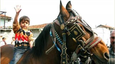 Интеграция цыган &ndash; долгосрочный вызов Болгарии