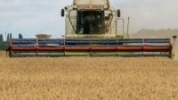 Министры аграрных дел Болгарии и Украины обсудили экспорт украинских сельхозтоваров
