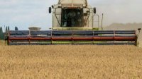 Министры аграрных дел Болгарии и Украины обсудили экспорт украинских сельхозтоваров