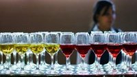 Болгарские вина выигрывают все больше медалей на международных конкурсах