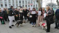 Протесты в 20 городах против насилия над животными