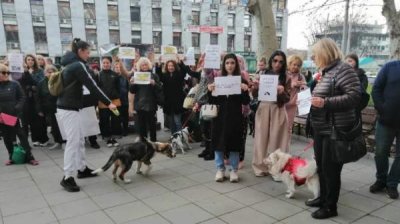 Протесты в 20 городах против насилия над животными
