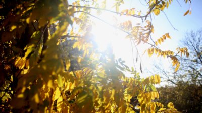 Осень начинается с солнцем и температурой 27-32°