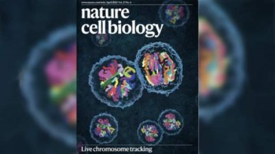 Болгарские ученые создали новый метод отслеживания хромосом