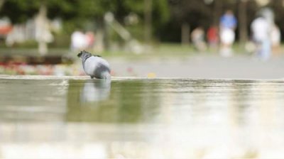 Август начинается повышением температуры и дождем в горах