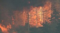 Пожар в Хасковской области разрастается