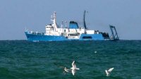 ЕС предоставит больше возможностей для развития болгарского рыболовства